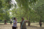 Photo 2 pour ONCLE BOONMEE (QUI SE SOUVIENT DE SES VIES ANTERIEURES)